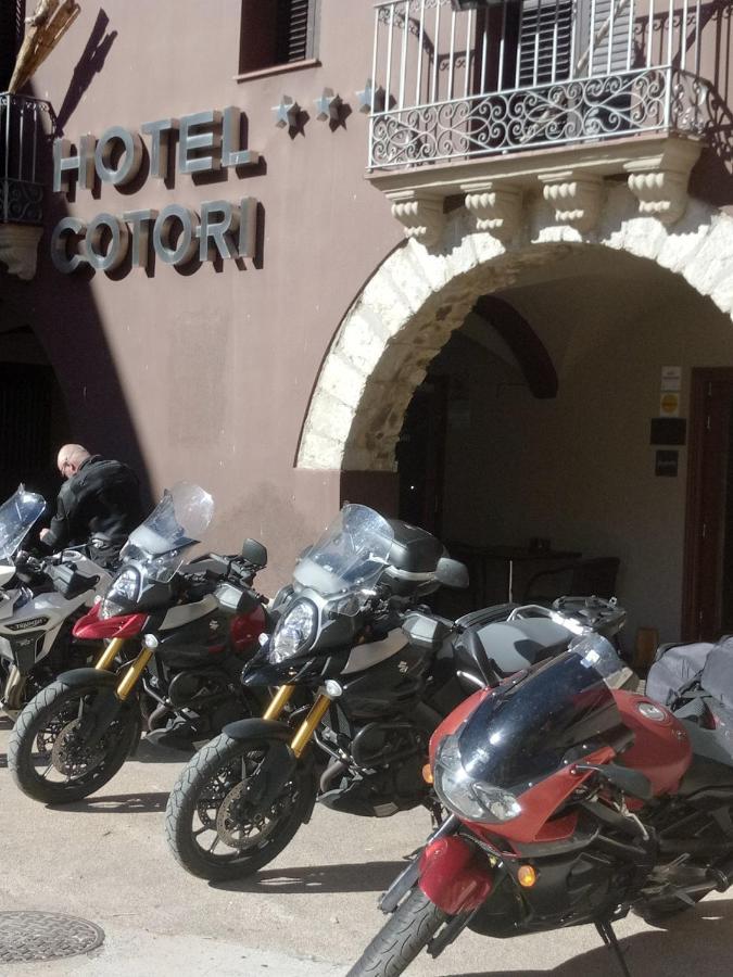 Cotori Hotel Pont de Suert